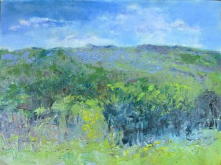 Carole Huber