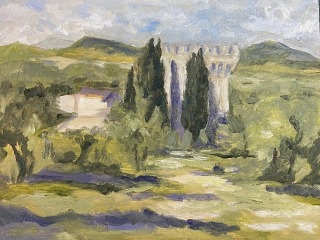 Nitsa Meiri