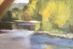 Carol Leslie