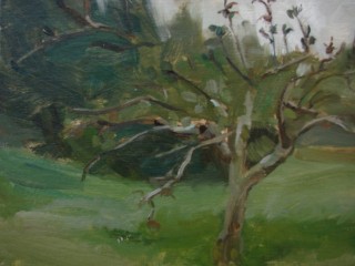 Jane Davies
