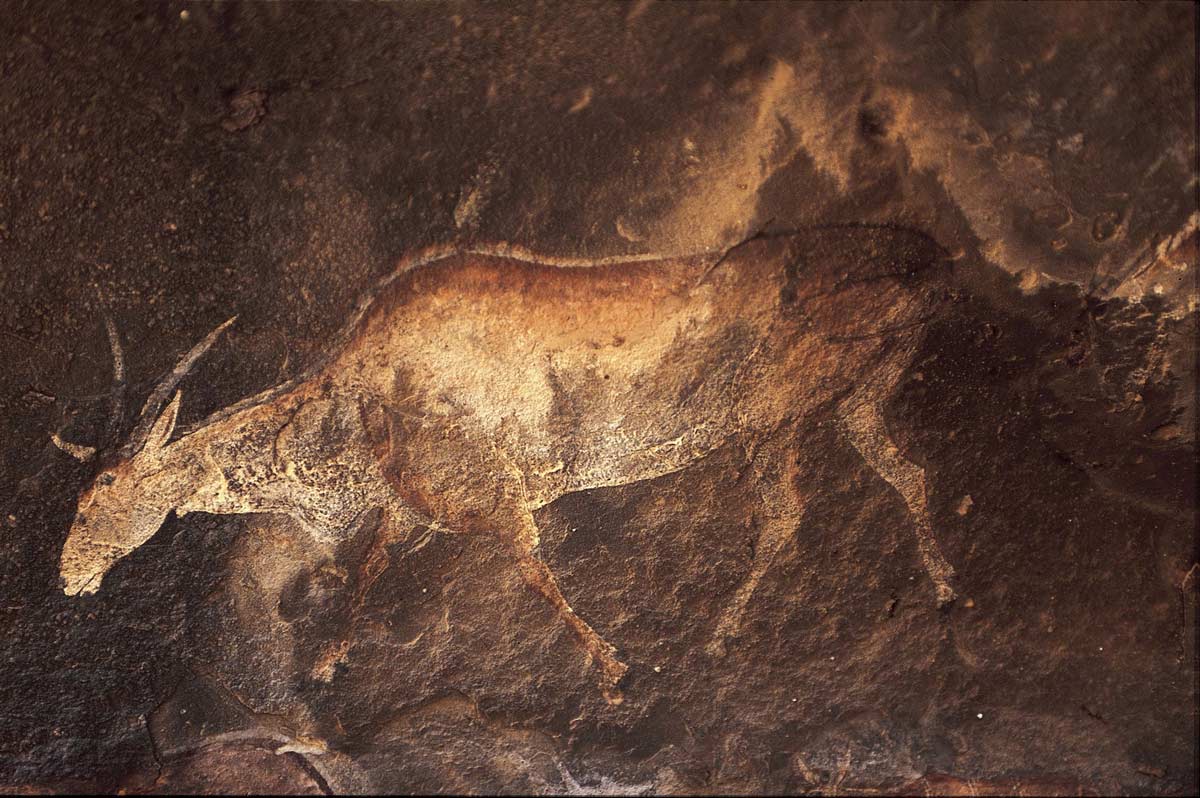 Afternoon Trip To The Caves Of Lascaux